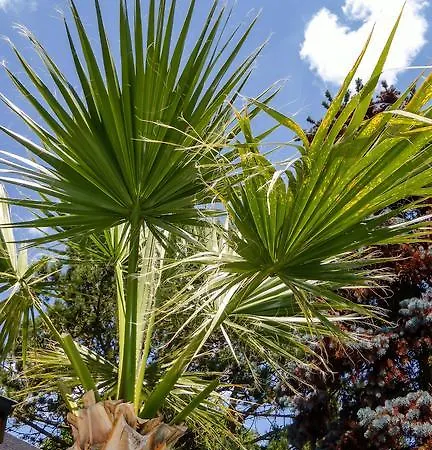 Chalet Les Mysteres D'omaha Surrain