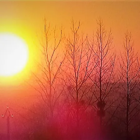 Les Mysteres D'omaha Chalet *