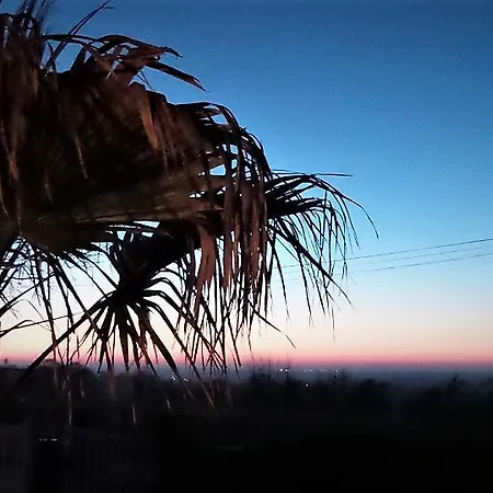 Les Mysteres D'omaha Surrain