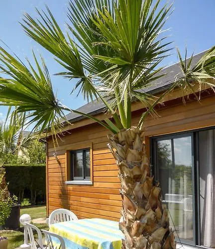 Les Mysteres D'omaha * Surrain