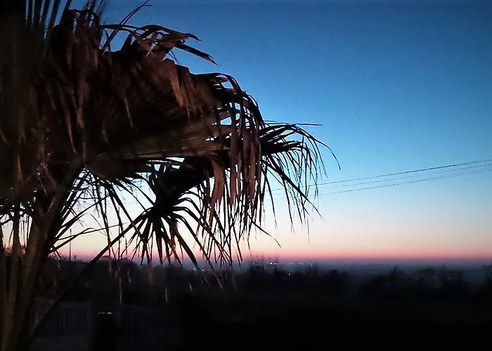 Les Mysteres D'omaha Surrain